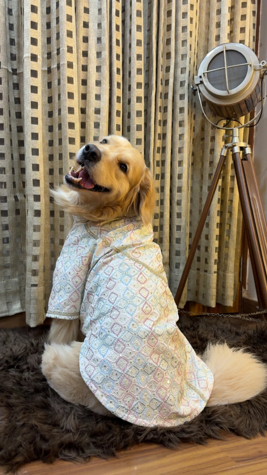 Pastel Pataka Kurta