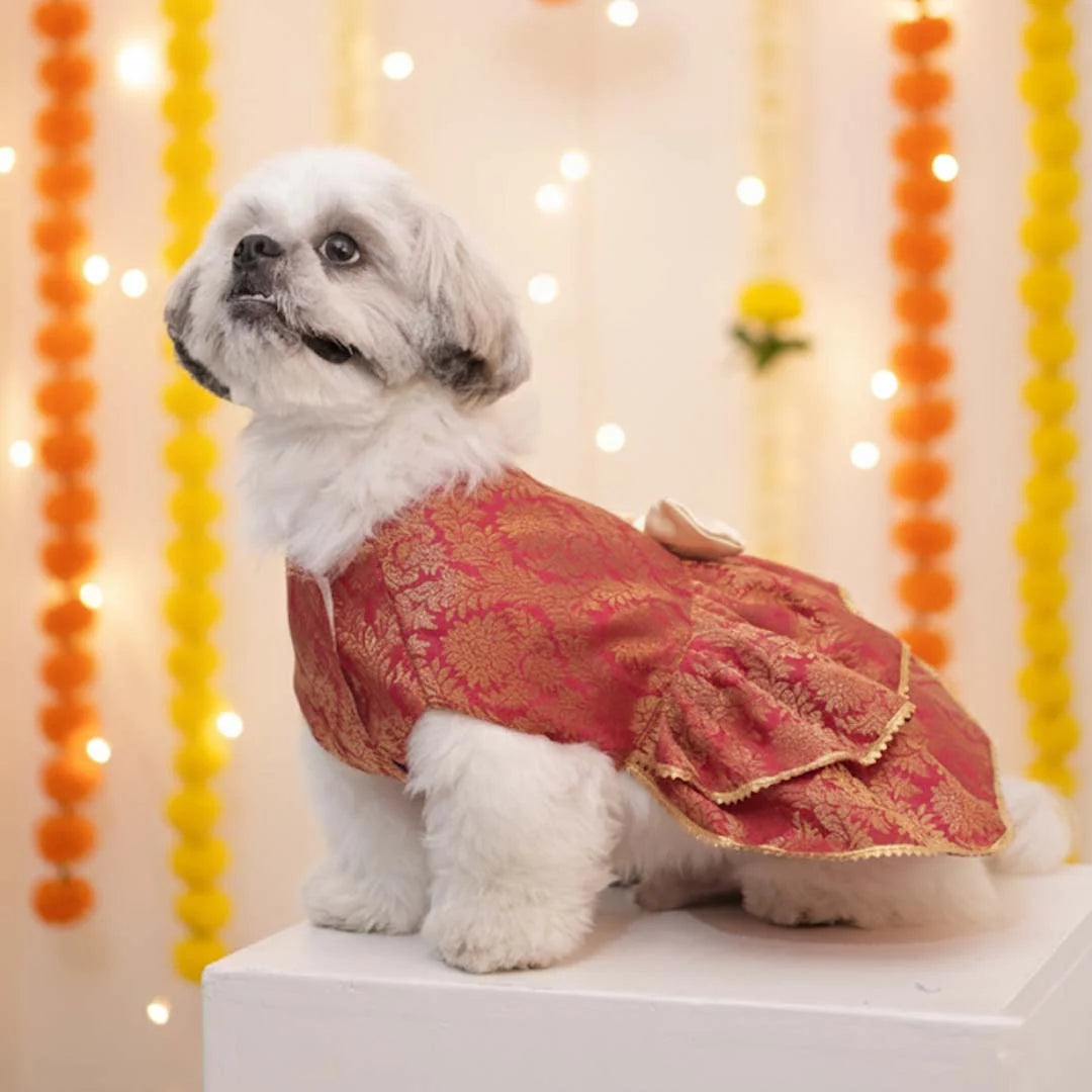 The Gulnaar Dress