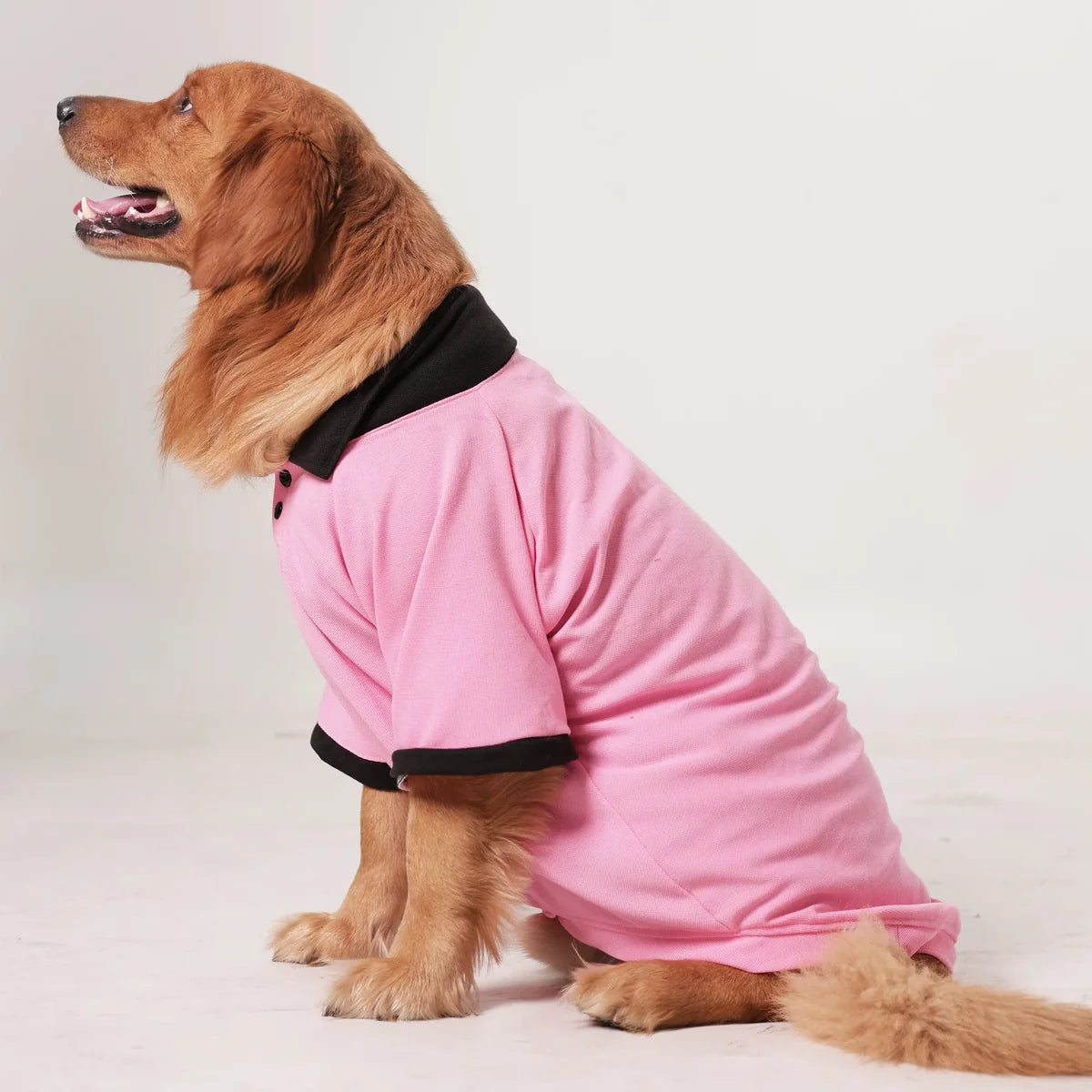 Everyday Polo Tee - Black/Pink