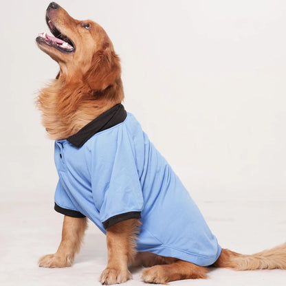 Everyday Polo Tee - Black/Blue