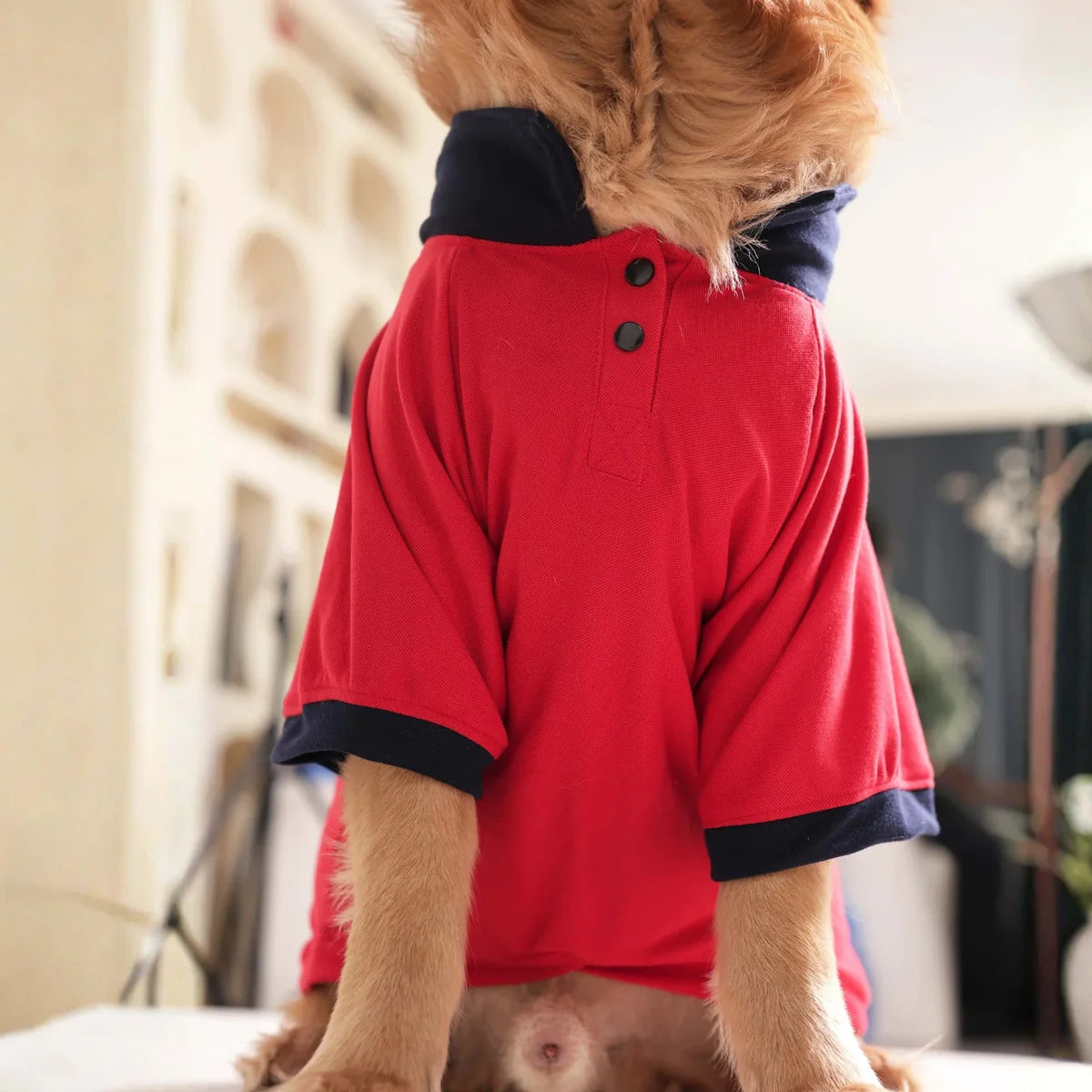 Everyday Polo Tee - Black/Red