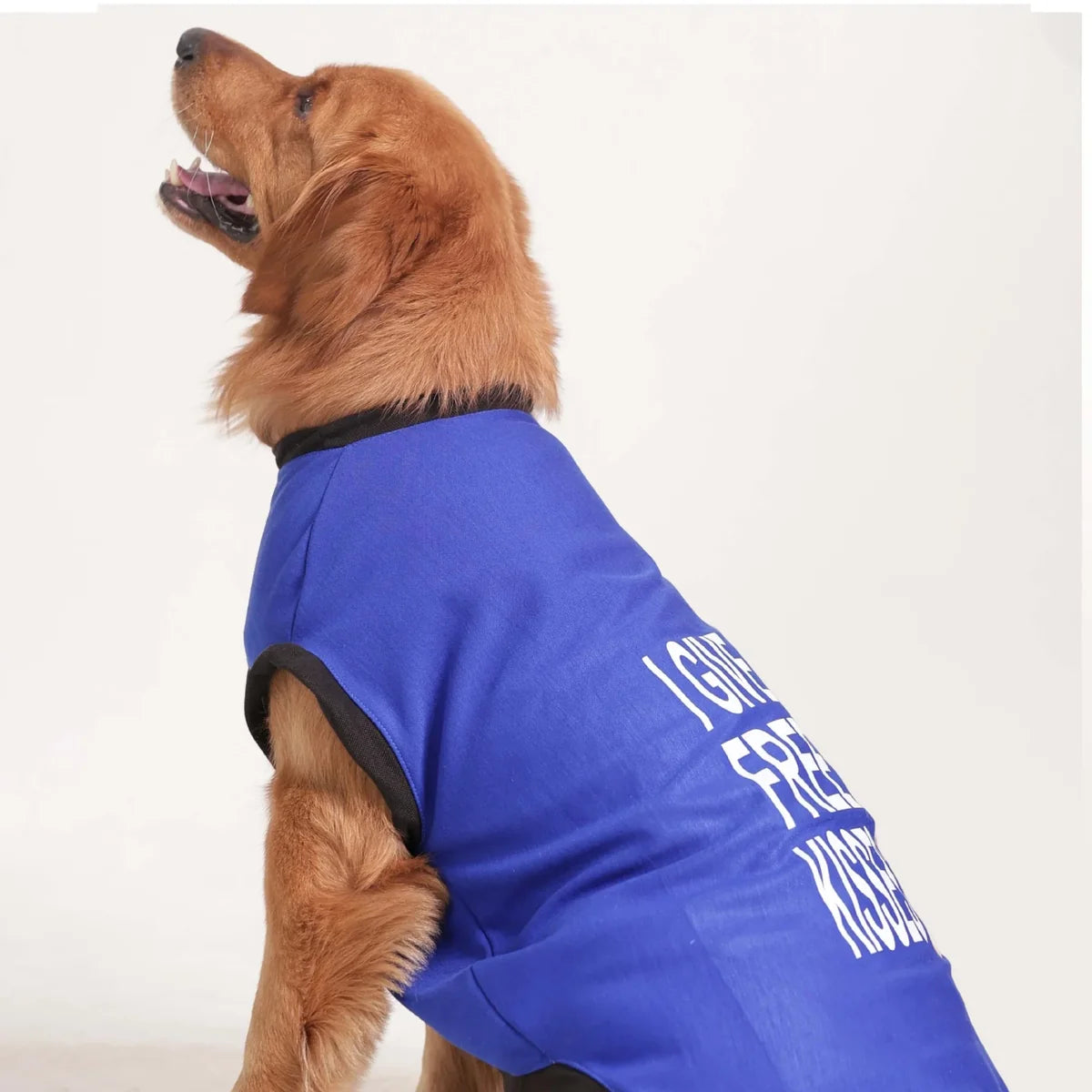 I Give Free Kisses Graphic Tee