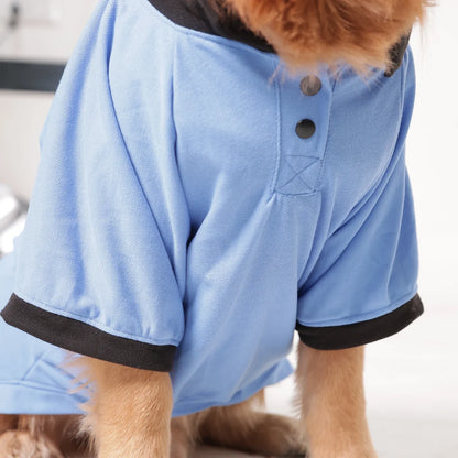 Everyday Polo Tee - Black/Blue
