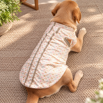 Blush Pastel Kurta