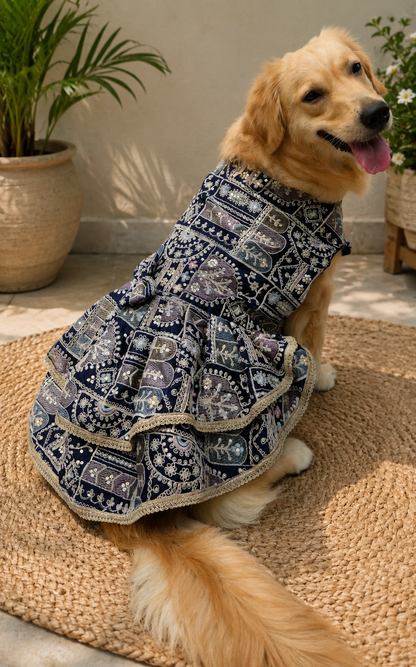 Royal Siyah Dog Lehenga