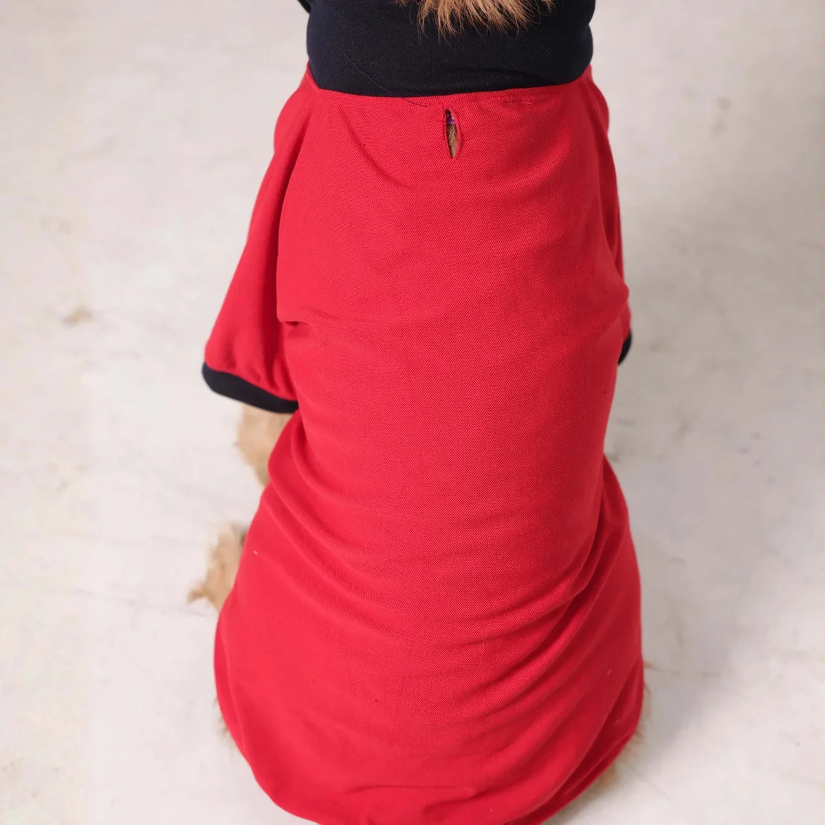 Everyday Polo Tee - Black/Red