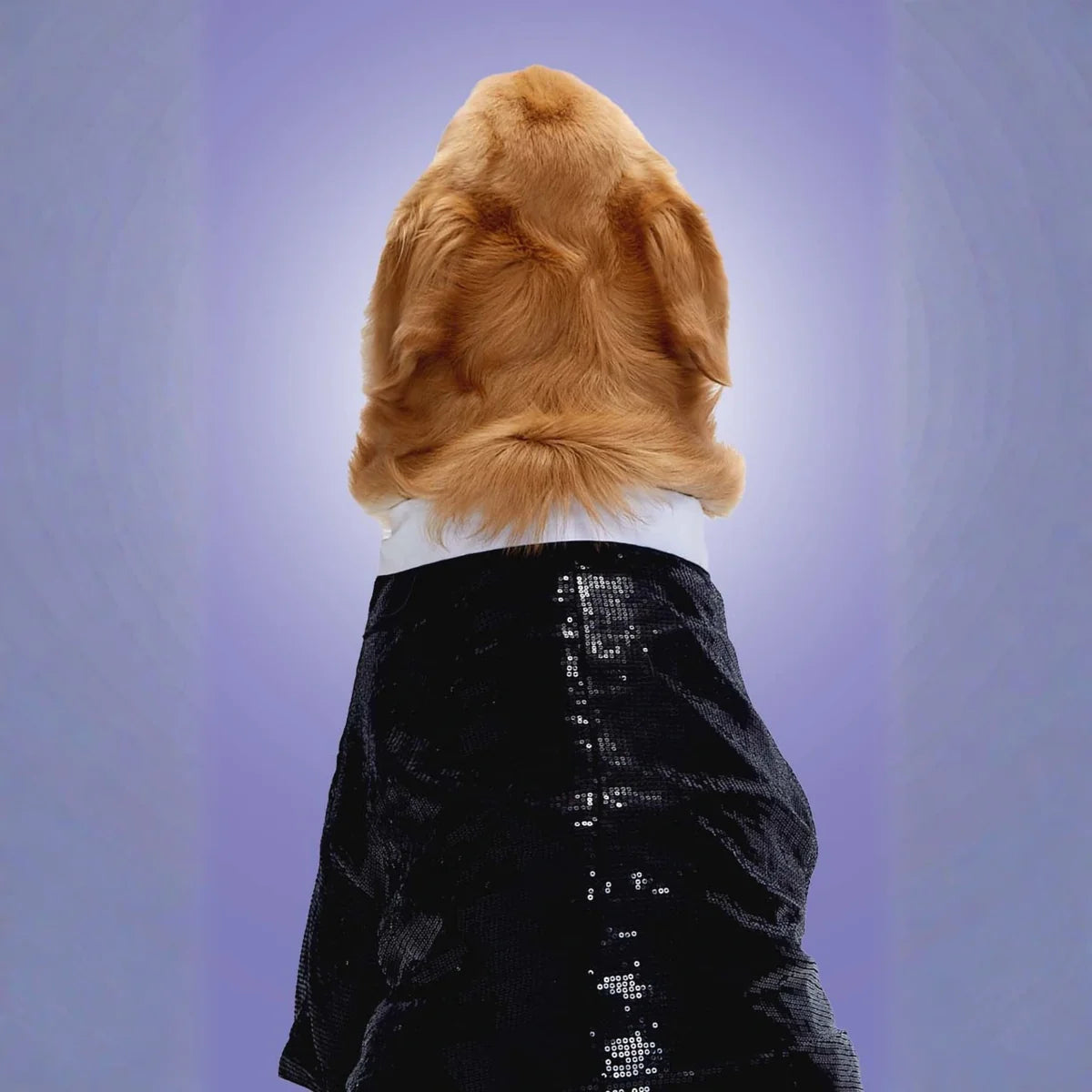 The Starlight Tux