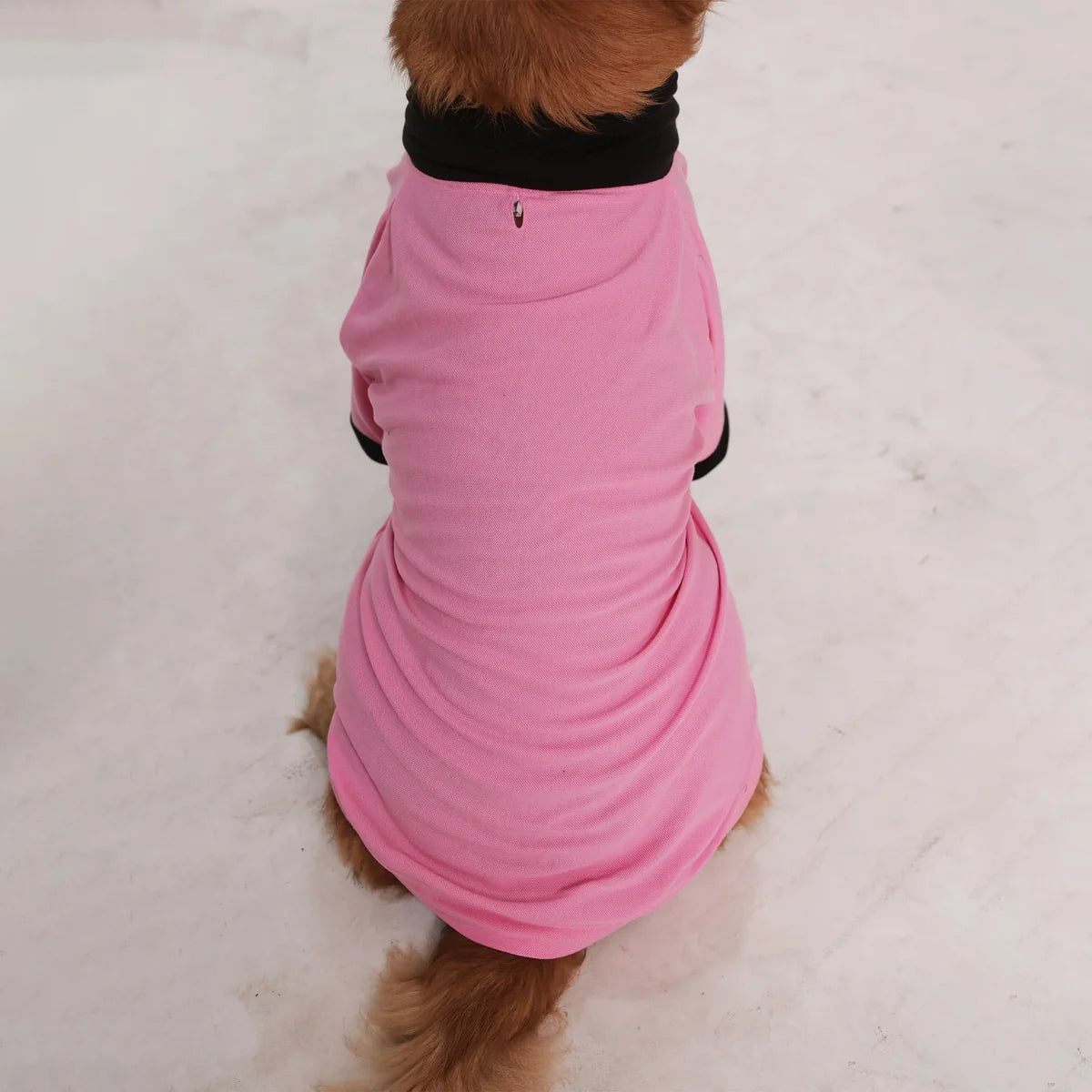 Everyday Polo Tee - Black/Pink