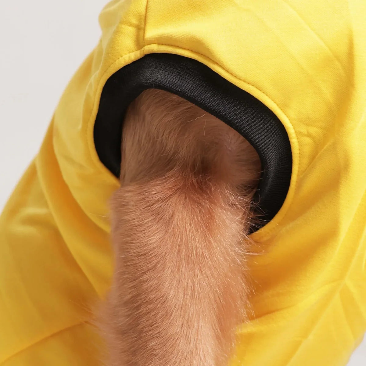 Cute Dog Graphic Tee - Yellow