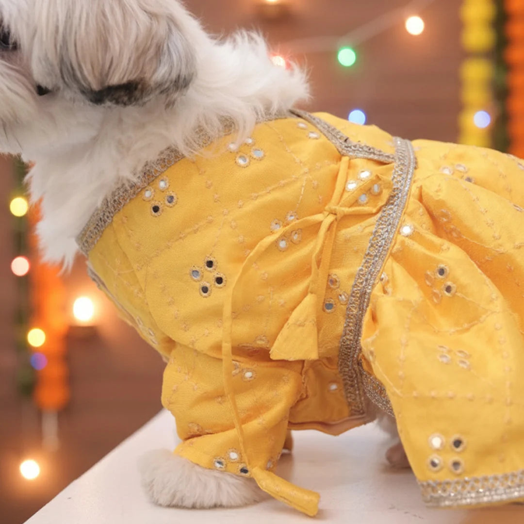 Haldi Glow Lehenga