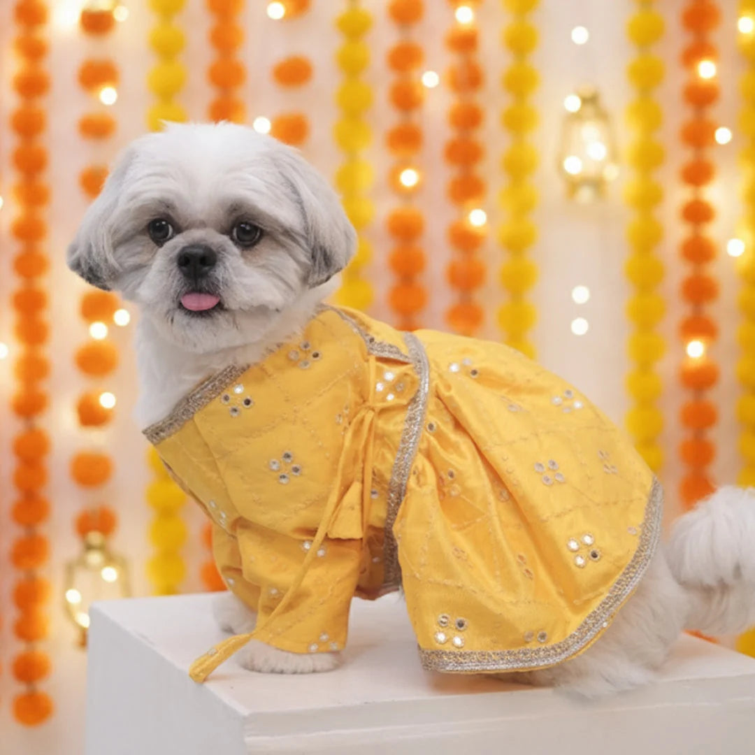 Haldi Glow Lehenga