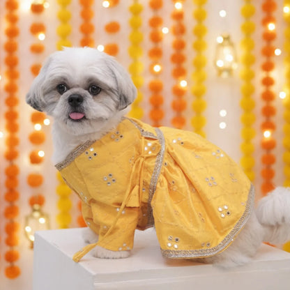 Haldi Glow Lehenga