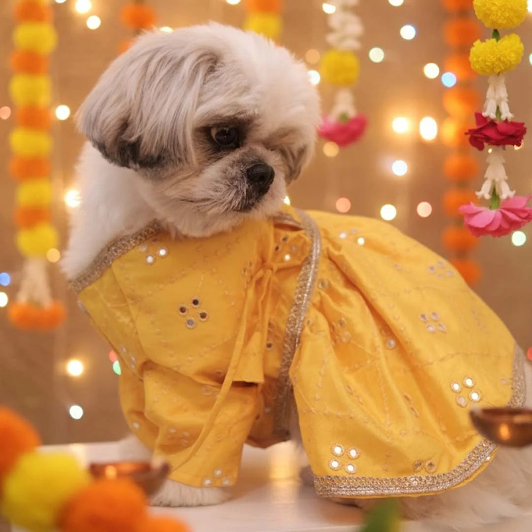 Haldi Glow Lehenga
