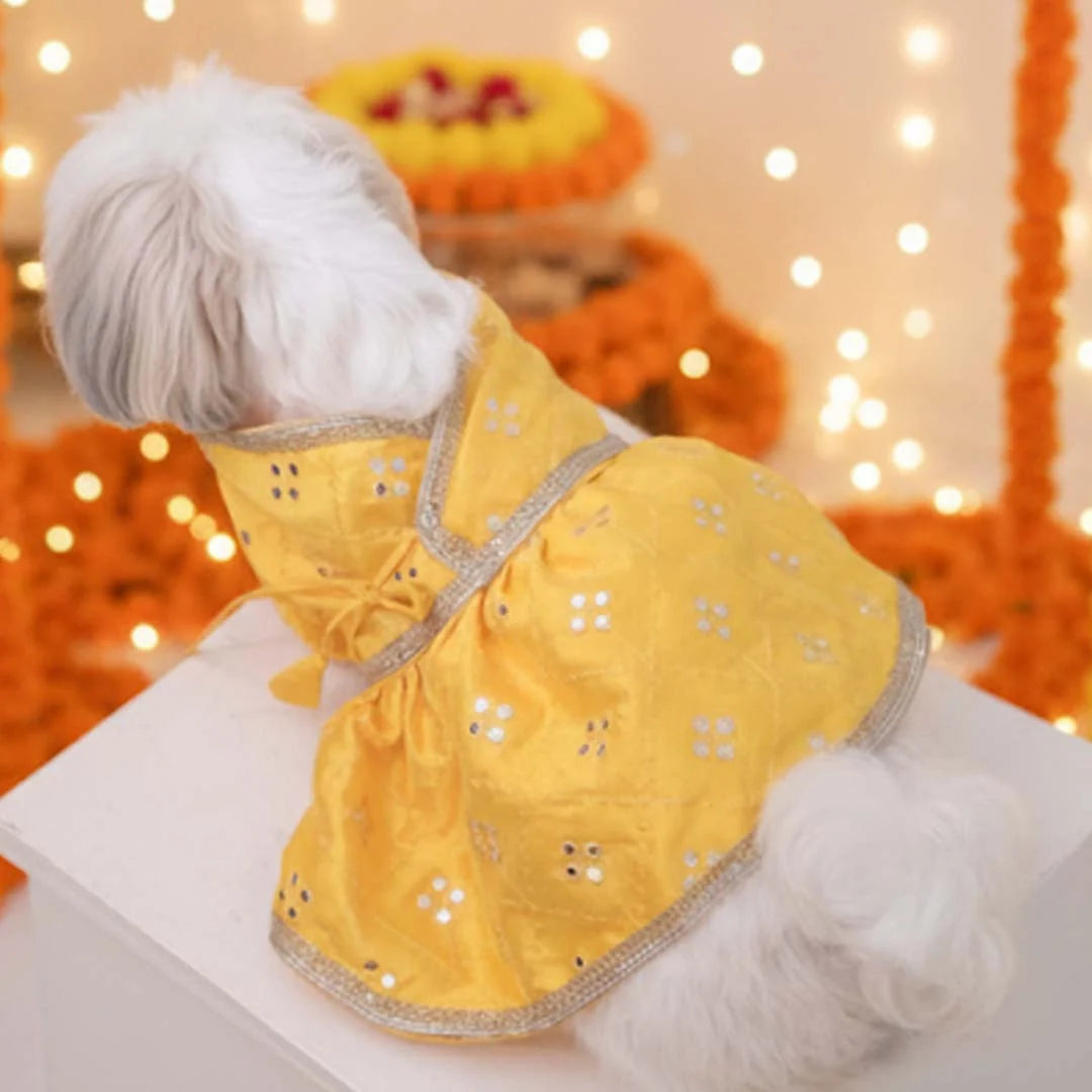 Haldi Glow Lehenga