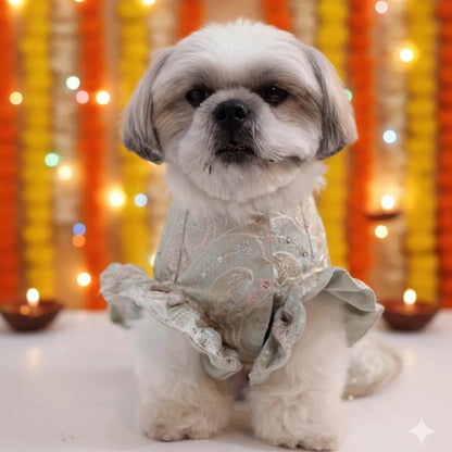 The Phulkari Lehenga