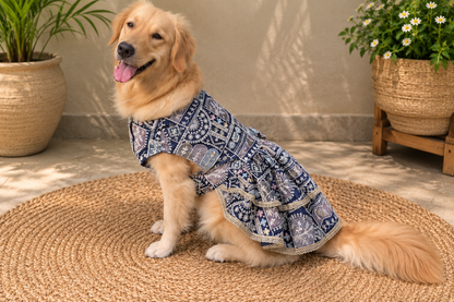 Royal Siyah Dog Lehenga