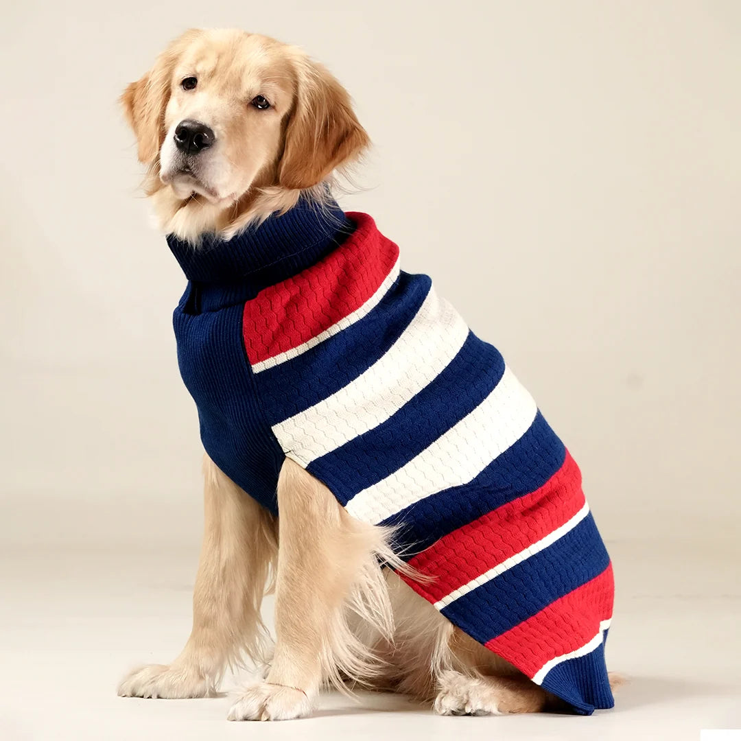 Scarlet Knit Sweater
