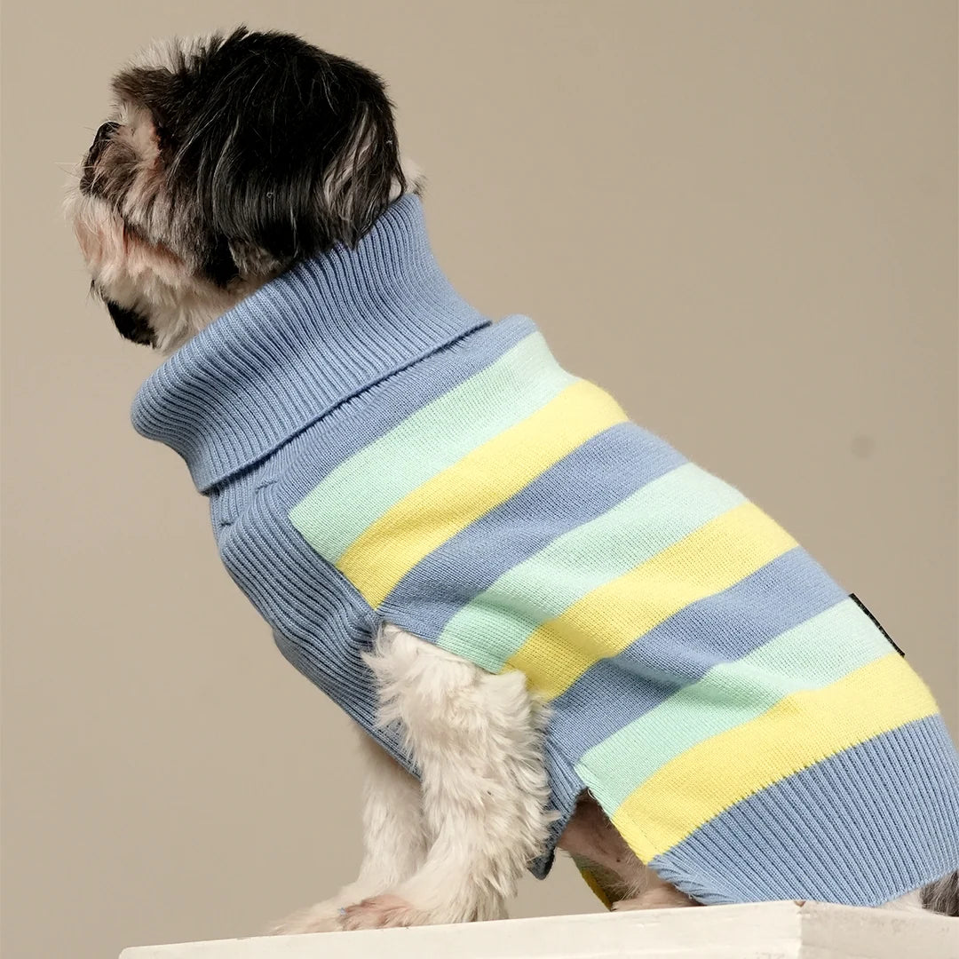 Buttercup Knit Sweater