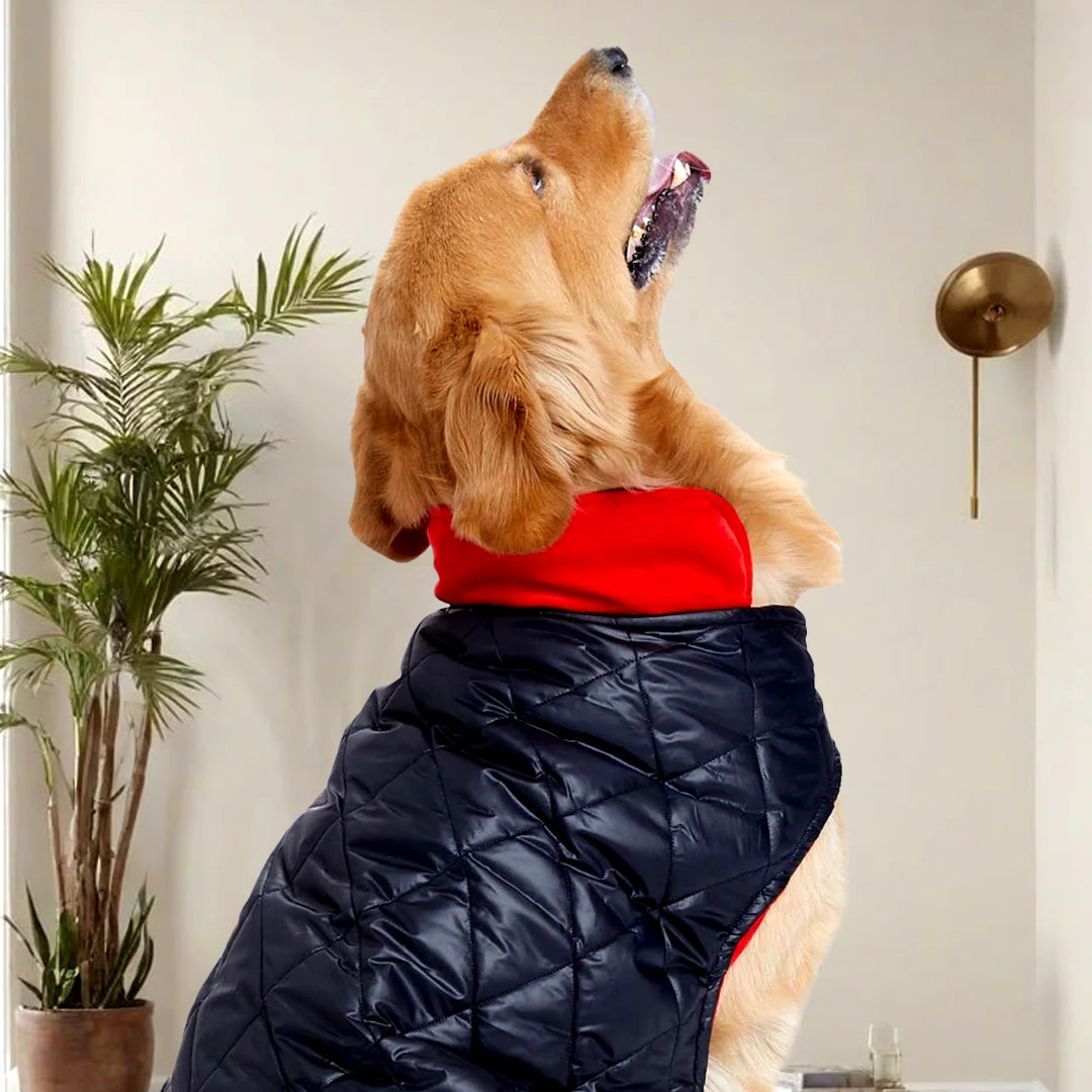 Black Quilted Puffer Jacket