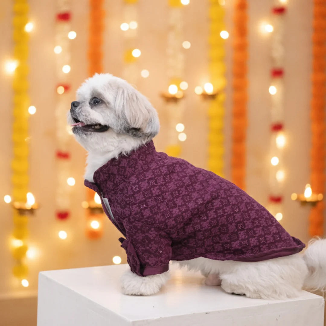 The Gulmohar Kurta