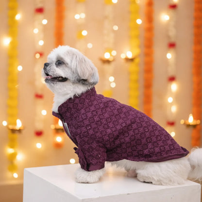 The Gulmohar Kurta