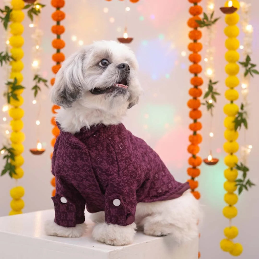 The Gulmohar Kurta