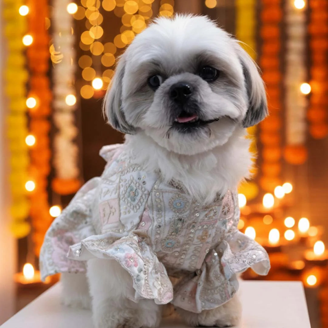 Ivory Nawabi Lehenga