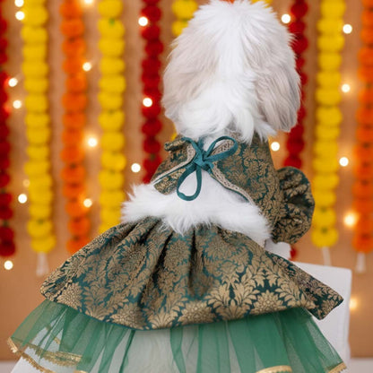 Mehendi Muse Lehenga