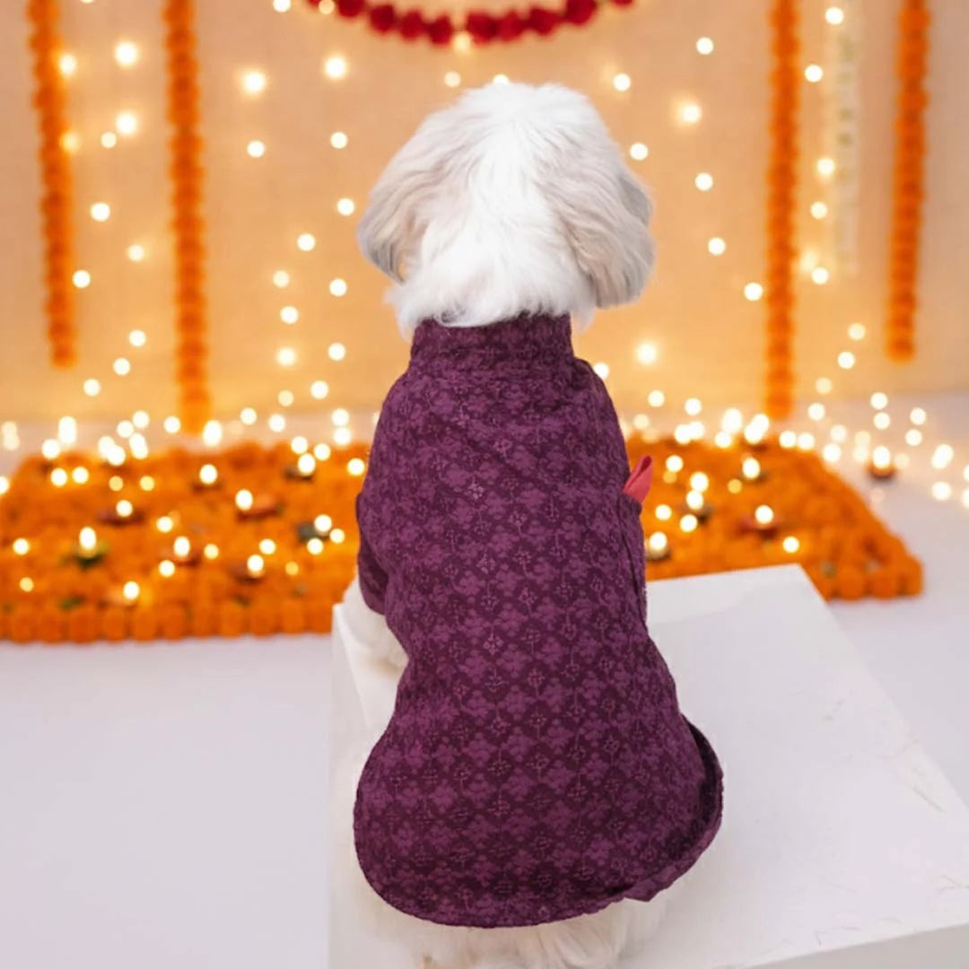 The Gulmohar Kurta