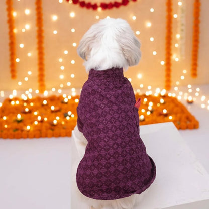 The Gulmohar Kurta