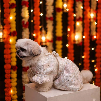 Ivory Nawabi Lehenga