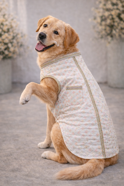 Dog Kurtas
