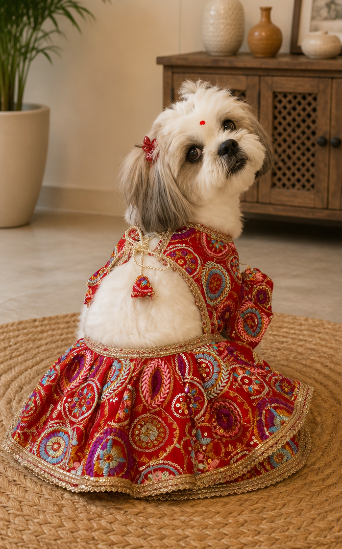 Shadi Drip Lehenga
