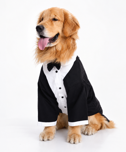 The "Distinguished Gentleman" Tux