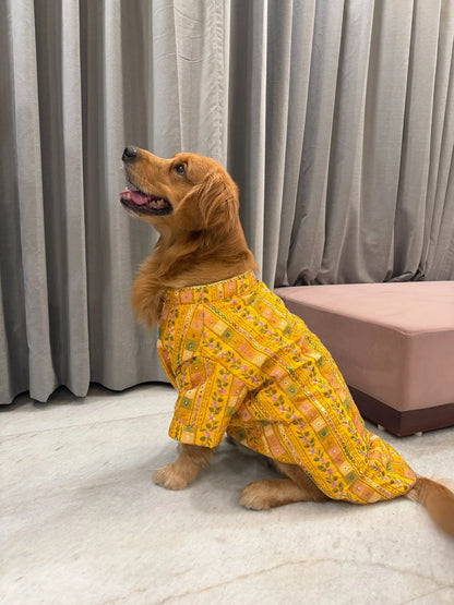 The Phuljhadi Kurta