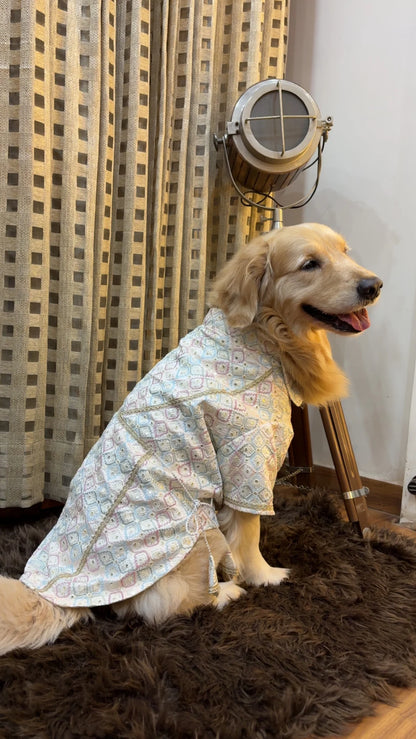 Pastel Pataka Kurta