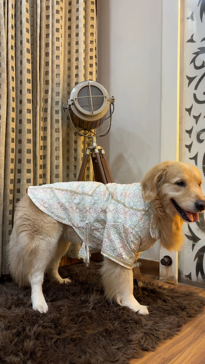 Pastel Pataka Kurta