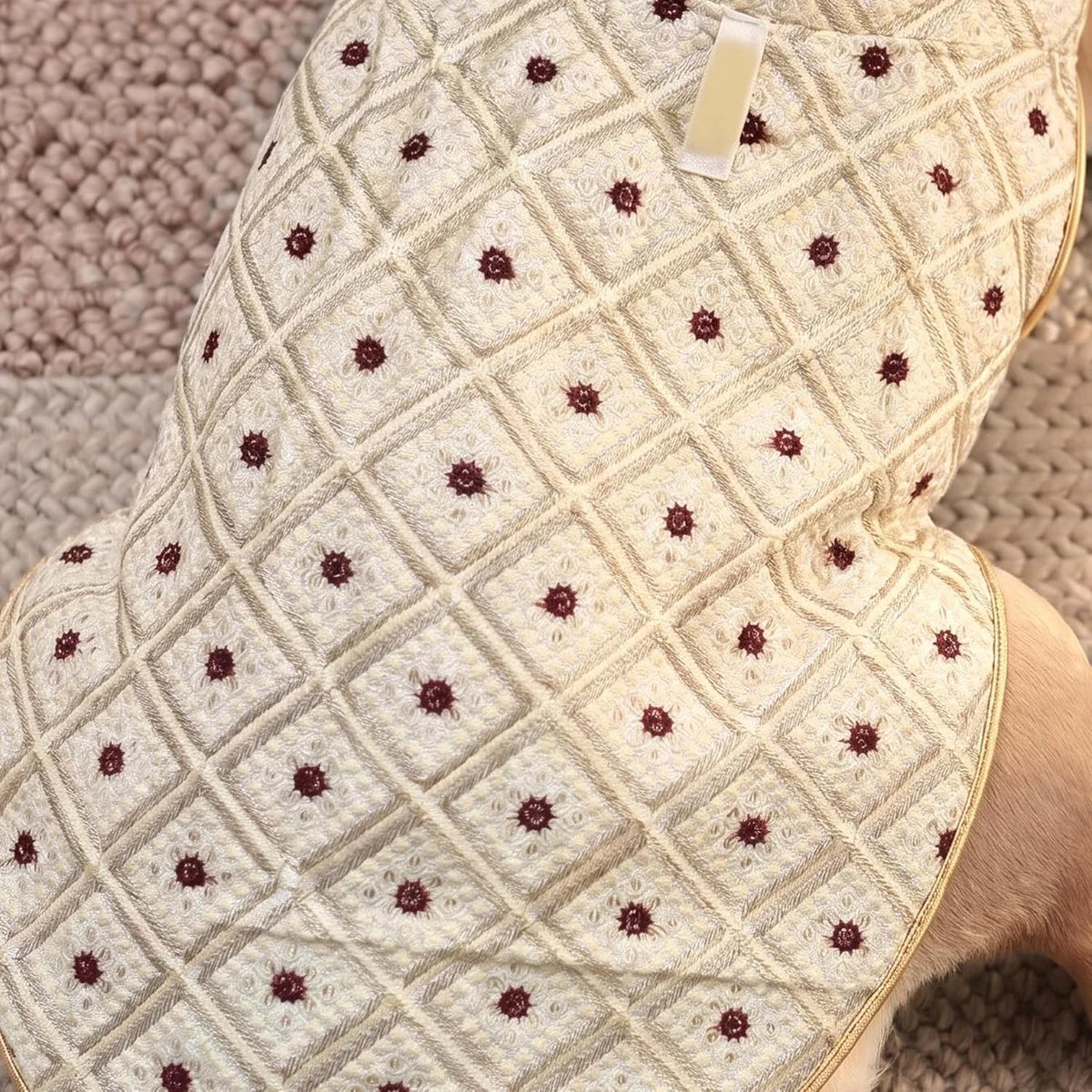 Shehzada Sherwani