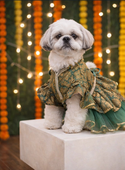 Mehendi Muse Lehenga