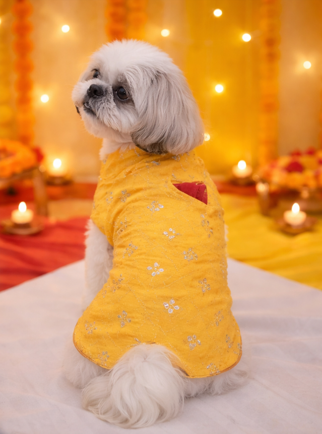 Haldi Glow Kurta