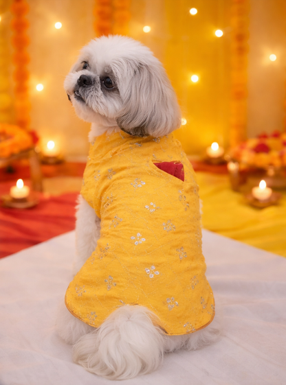 Haldi Glow Kurta